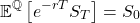 \[\mathbb{E}^{\mathbb{Q}} \left[ e^{-rT} S_T \right] = S_0\]